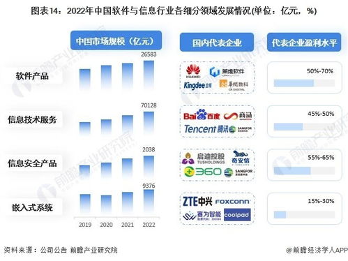2023年中国战略性新兴产业 软件与信息服务产业全景图谱